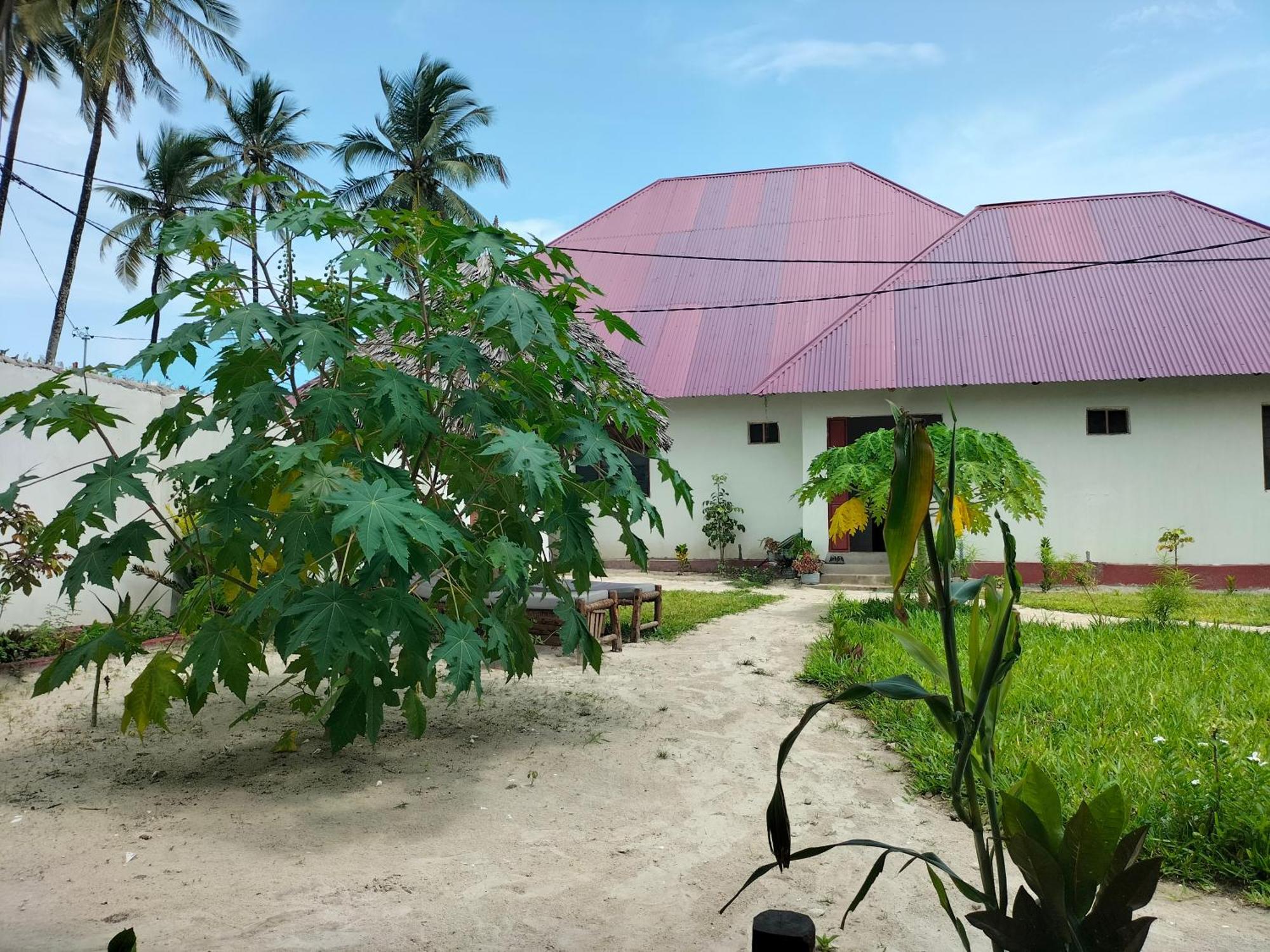 Mambo Leo Hostel Paje Eksteriør bilde