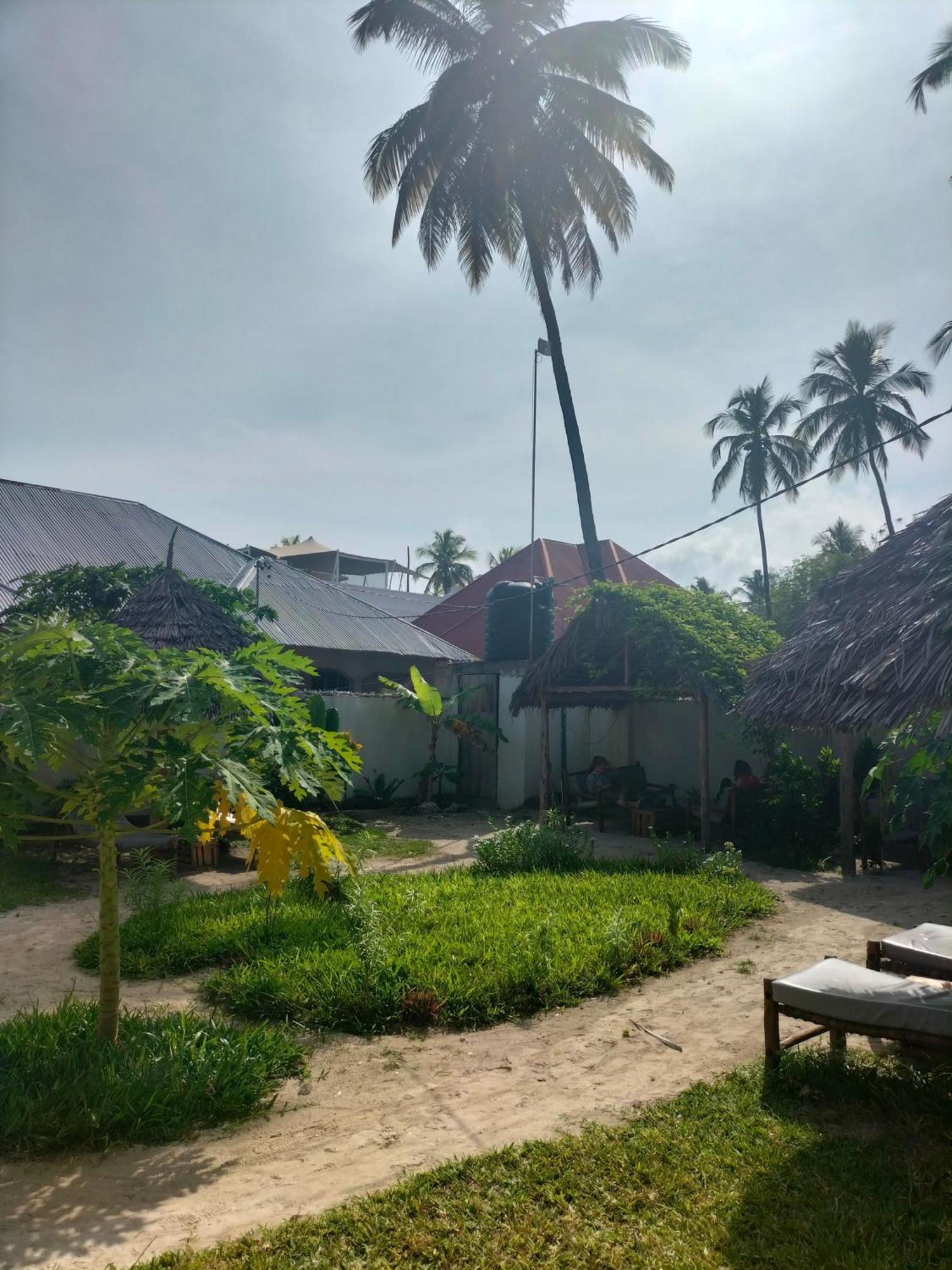 Mambo Leo Hostel Paje Eksteriør bilde